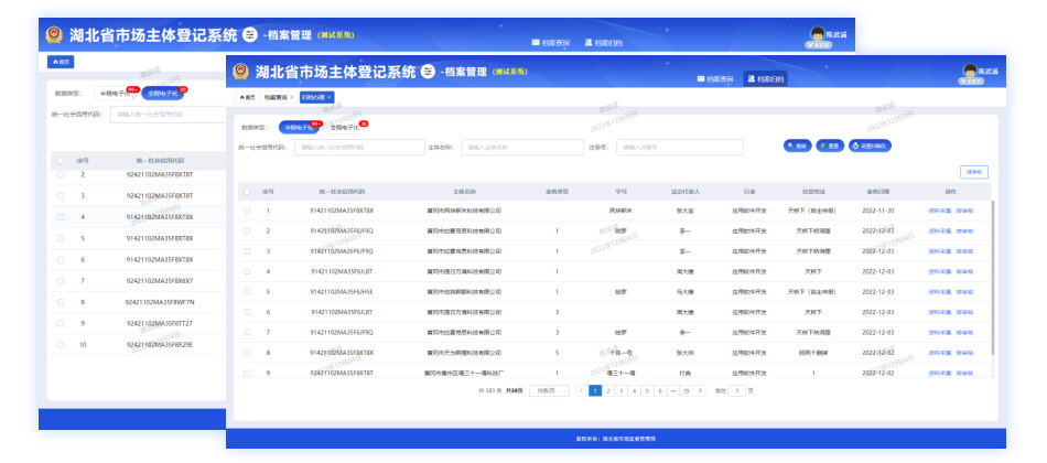 企业登记档案系统拓展服务项目
