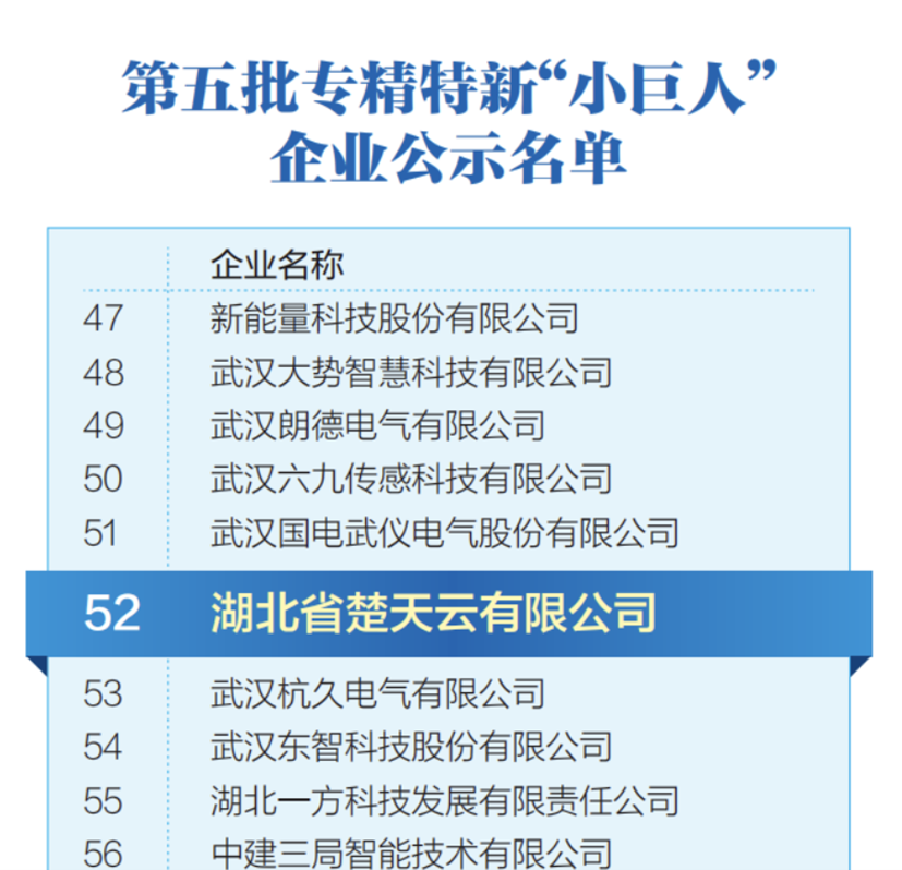 国家级专精特新“小巨人”企业